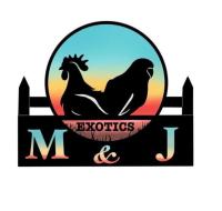 M & J Exotics Logo