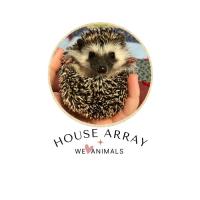 House Array  Logo